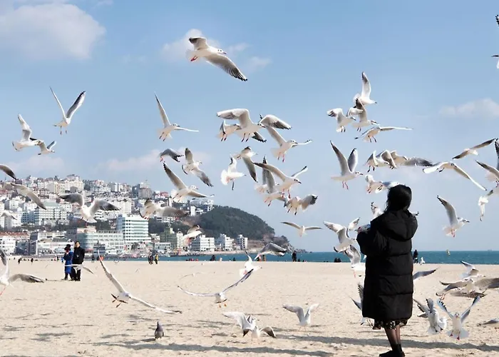 Hotel Haeundae Blue *